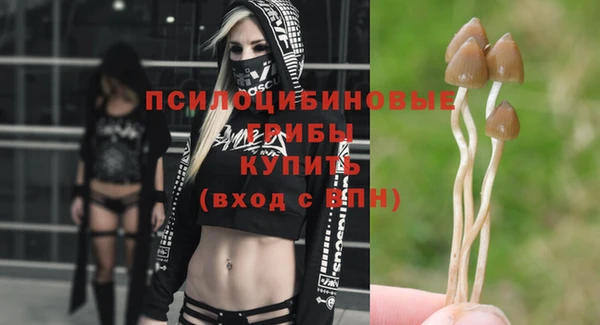 герыч Бугульма