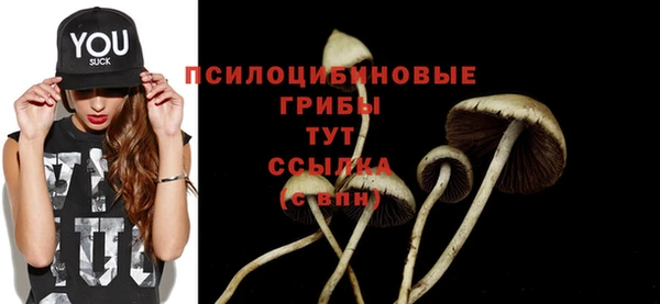 герыч Бугульма