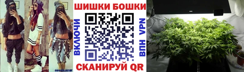 kraken   Микунь  Бошки марихуана THC 21% 